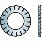  Rondelles éventail AZ inox A4 - Pour vis Ø 8 mm