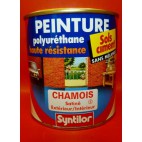 Peinture sol Syntilor Polyuréthane 500ml couleurs aux choix