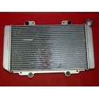 Radiateur quad Hisun 500 ATV avec sonde et grille